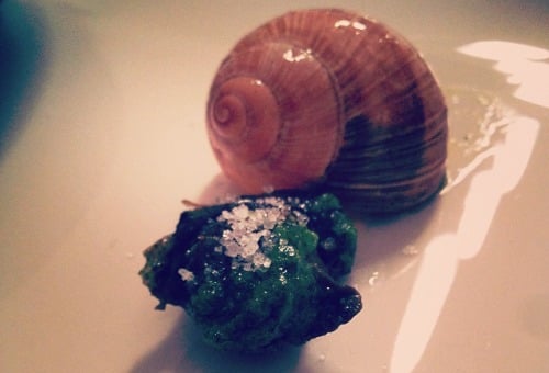 Around the World in 20 Peculiar Dishes