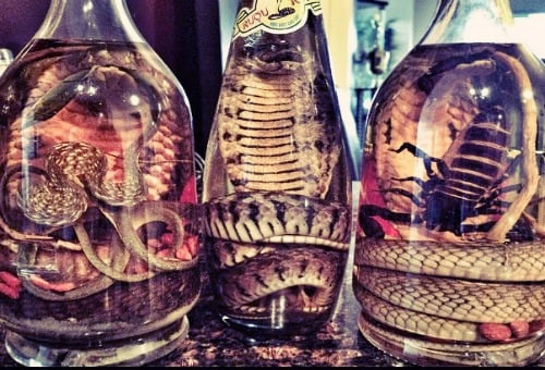 Around the World in 20 Peculiar Dishes