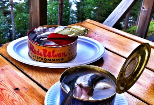 Around the World in 20 Peculiar Dishes