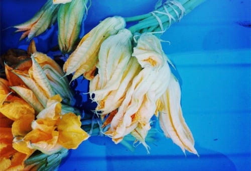 Around the World in 20 Peculiar Dishes