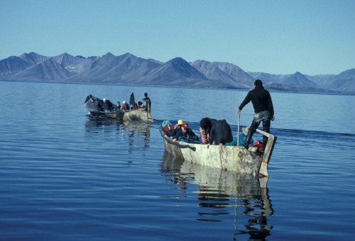 Around the World in 20 Peculiar Dishes