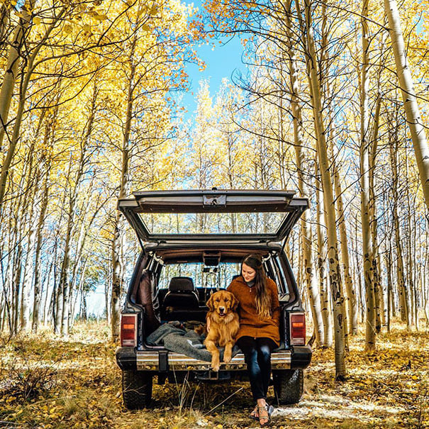 Hanging out in Kenosha Pass, Colorado via @aspenthemountainpup