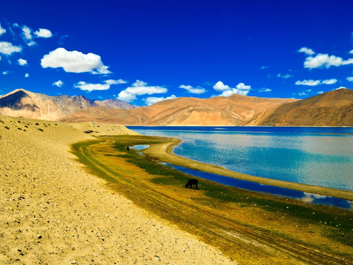 pangong-tso