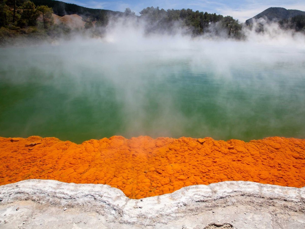 Rotorua Hot springs in Rotura, New Zealand