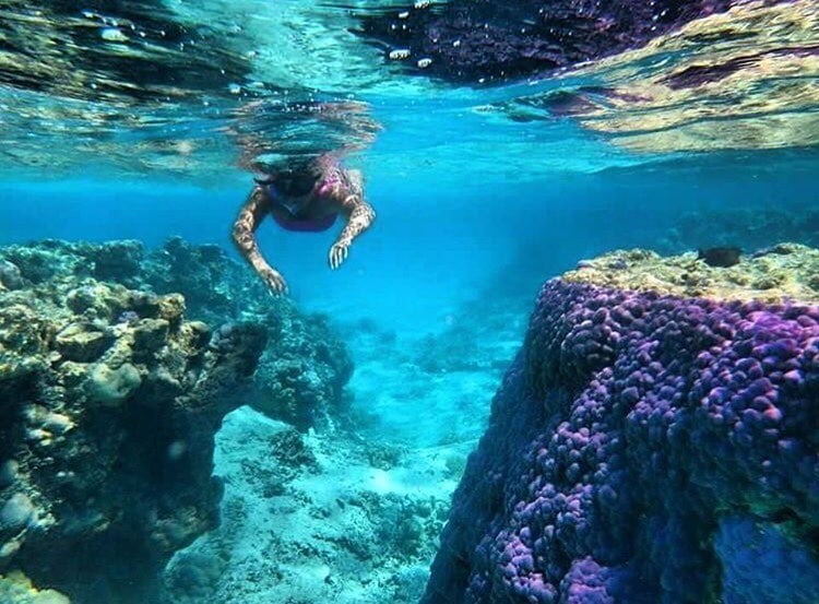 snorkeling in the cook islands