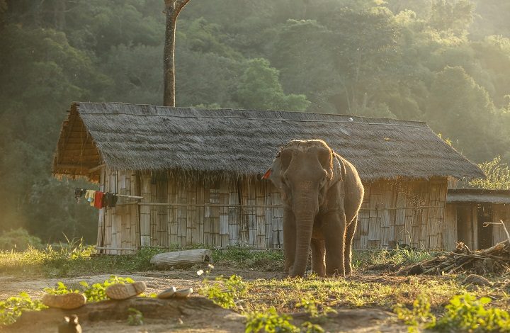 travel South east asia