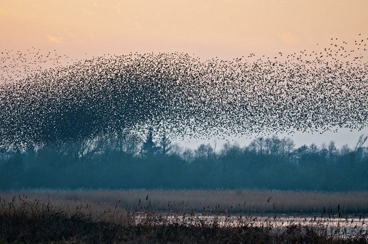 natural phenomena