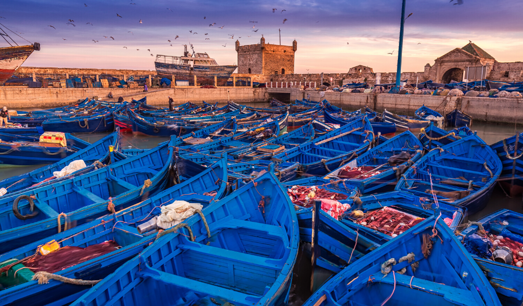 Essaouira blue boats