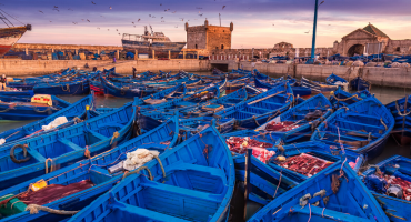Essaouira-fishing-port