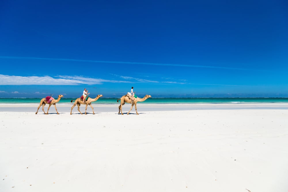 Diani Beach, Mombasa