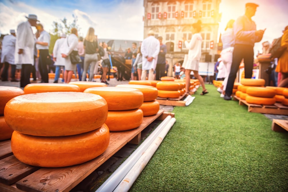 What and where to eat in Amsterdam: the dishes you shouldn’t miss