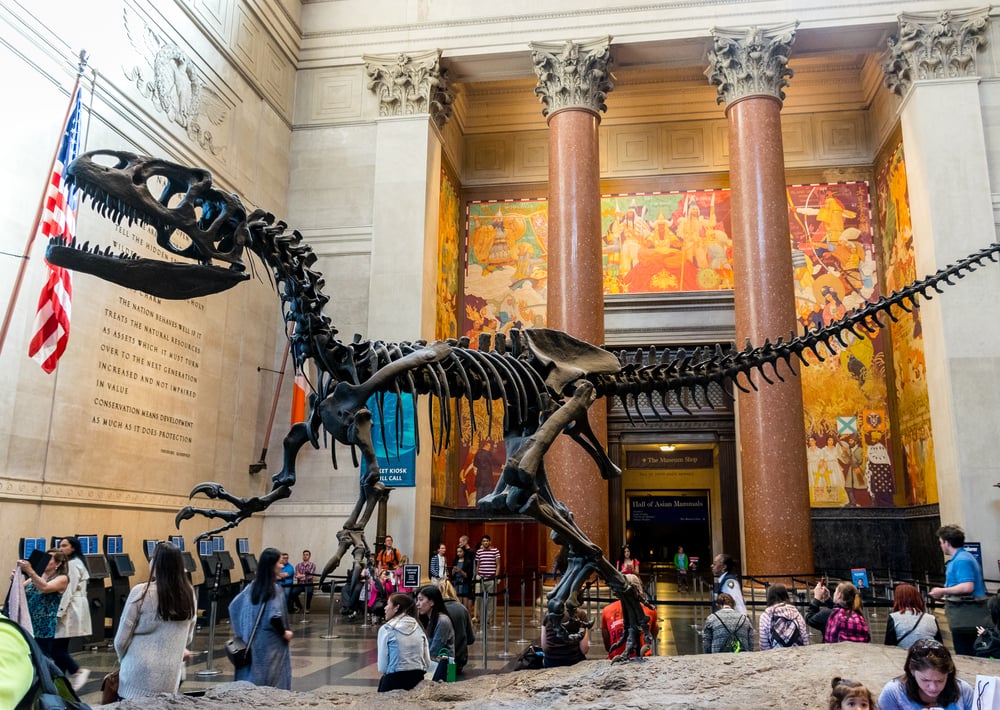 Museums in New York