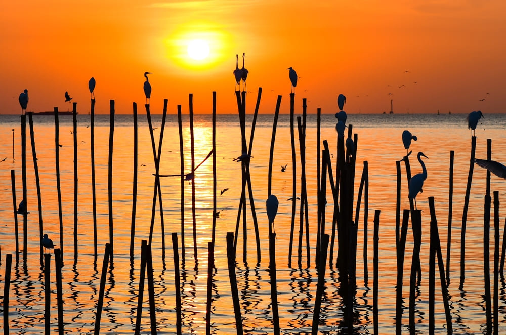 Bang Pu Beach, Thailand
