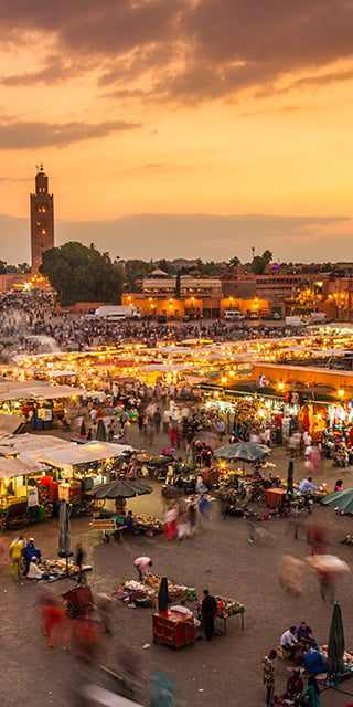 Discover Marrakech