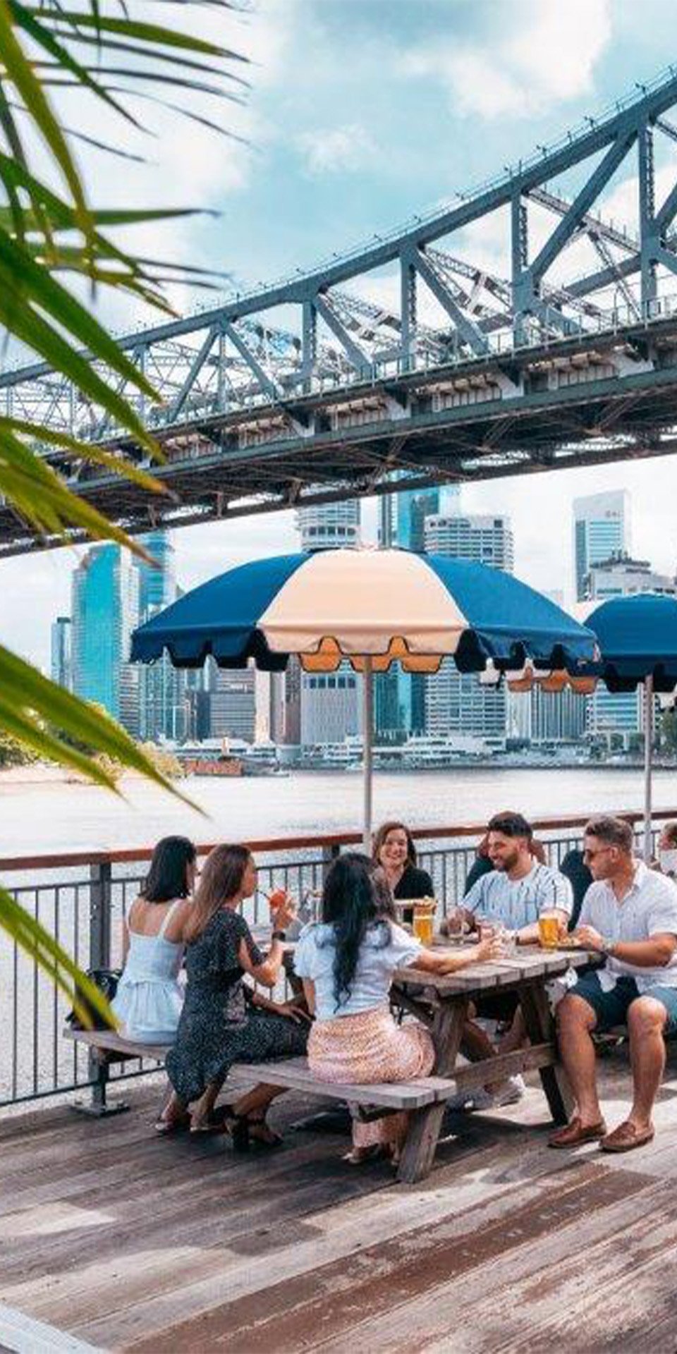 Explore Mount Coot-tha & Brisbane cultural spots