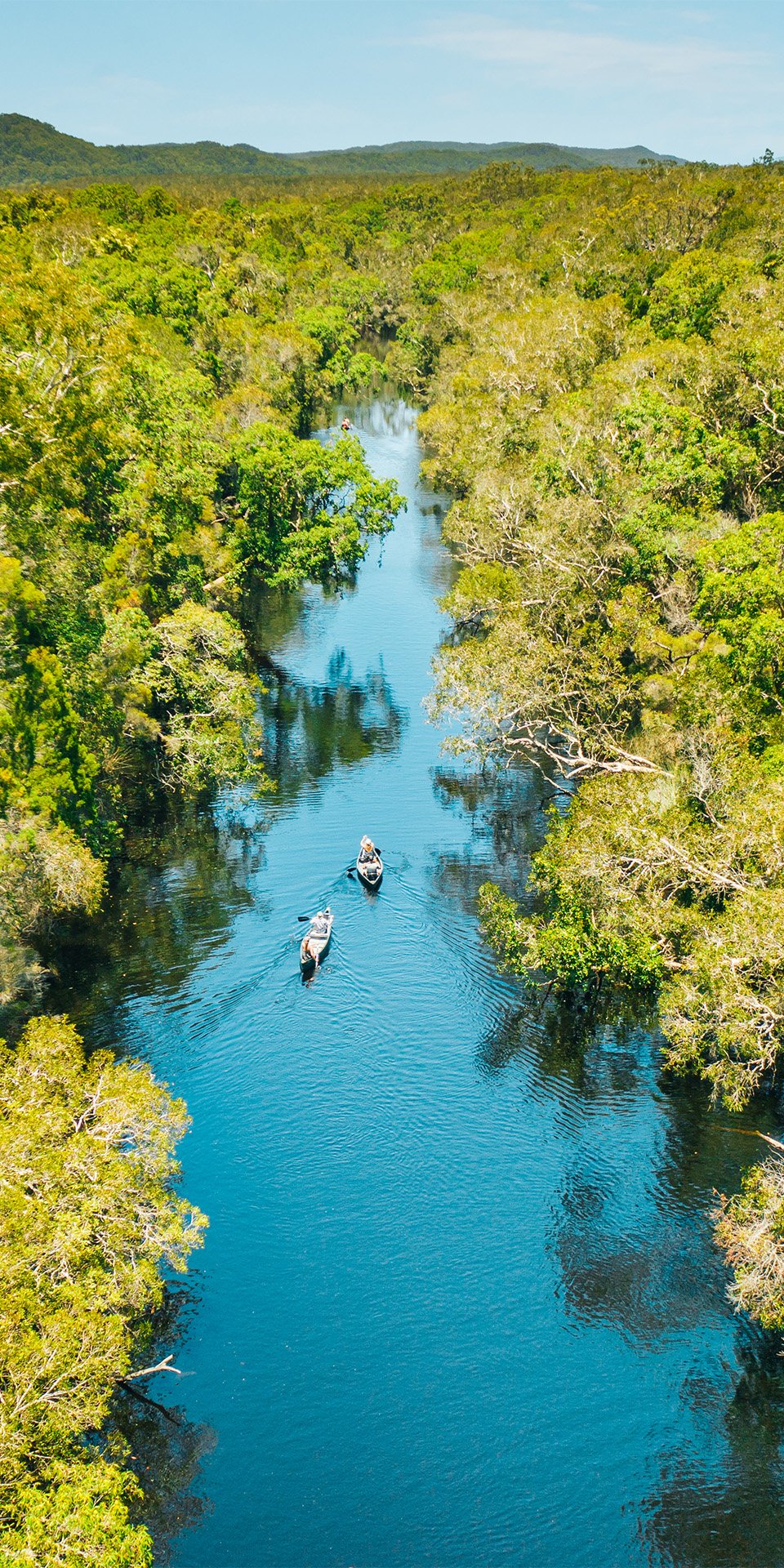 Canoeing the Noosa Everglades: Bird Spotting and local markets