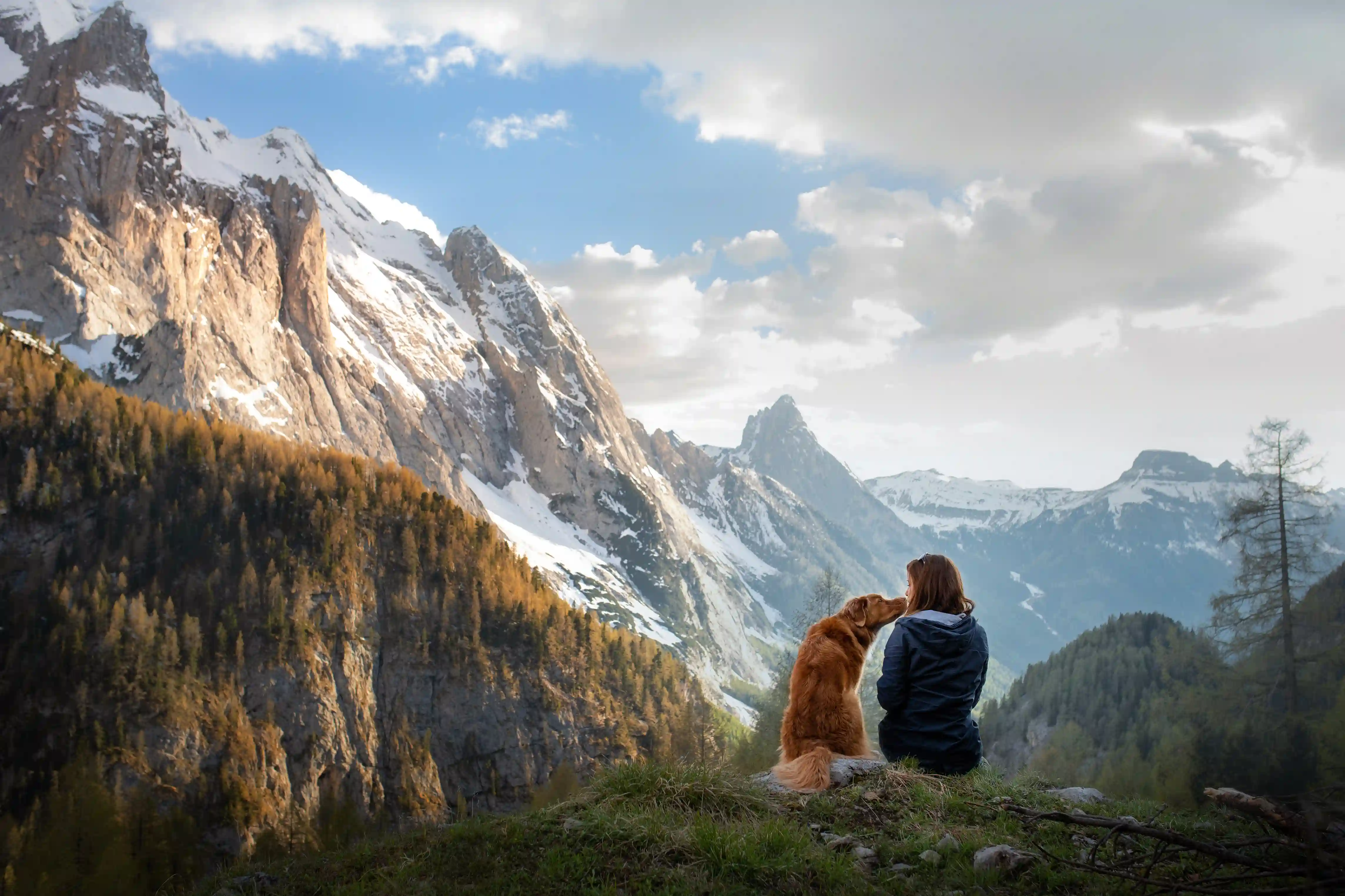 Fly with Pets | Airline Rules & Cabin Tips