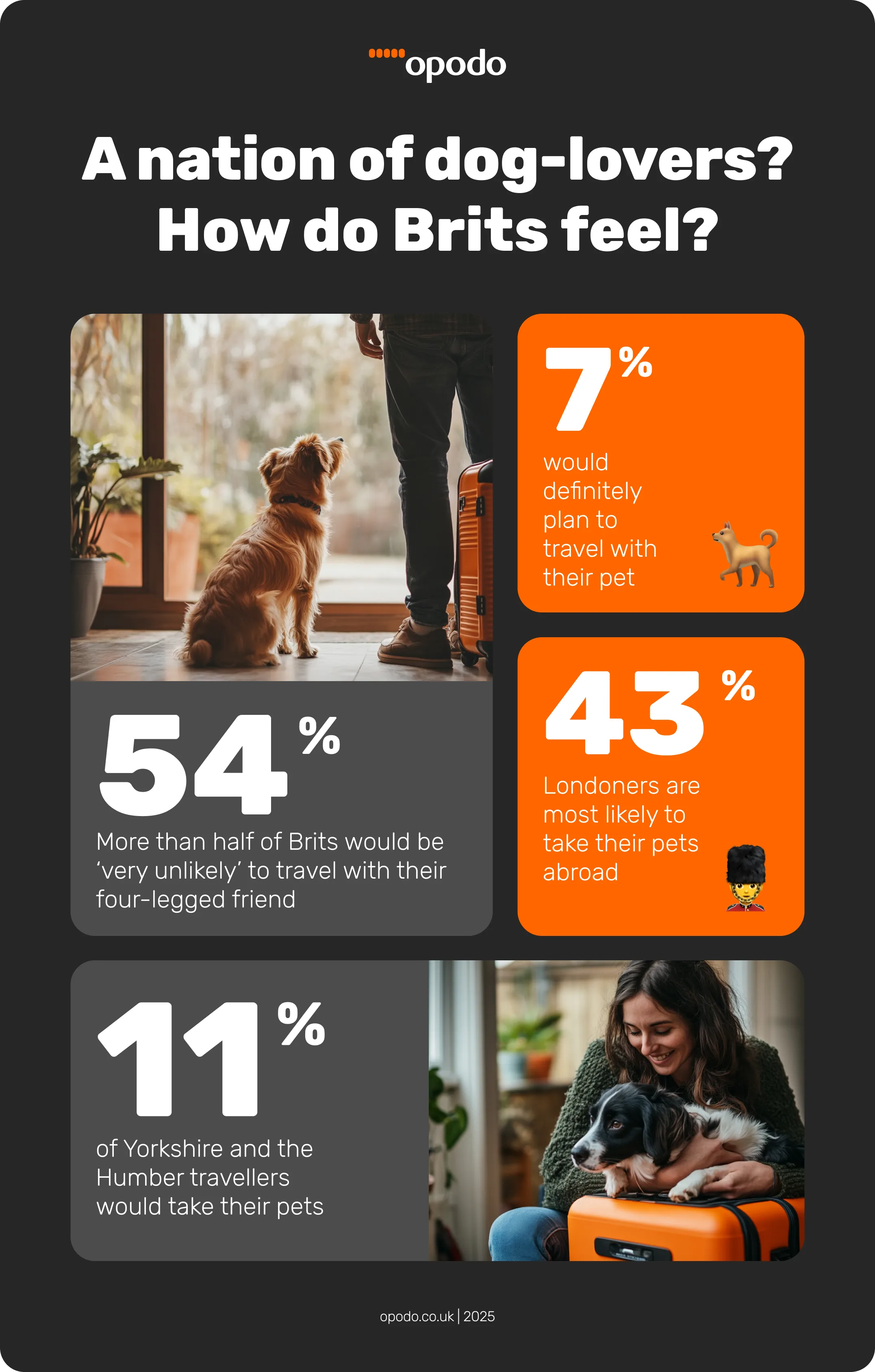 travel with pets info